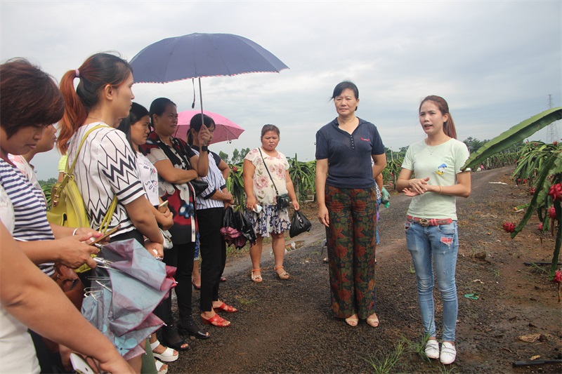 遂溪縣婦聯牽頭到基地參觀學習.JPG