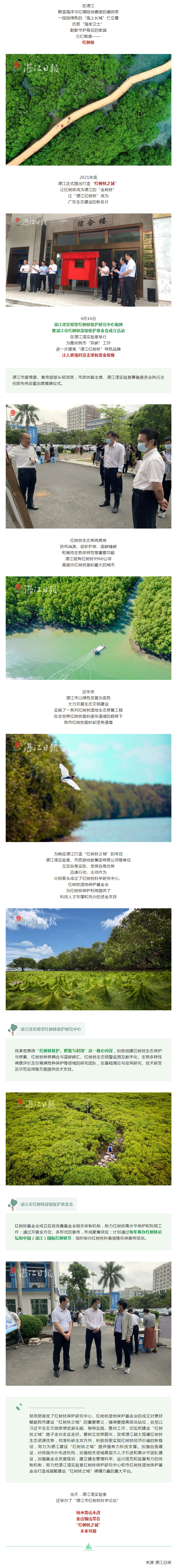 湛江紅樹林之城，插上騰飛的雙翼！.png