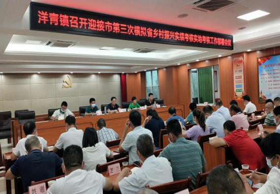 洋青：提升基層“三度”水平 、力促鄉村振興879.png