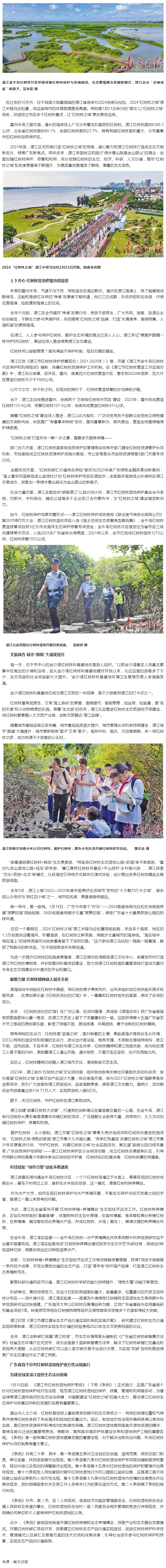 “海岸衛士”與港城共生共榮 湛江“紅樹林之城”建設蹄疾步穩.png