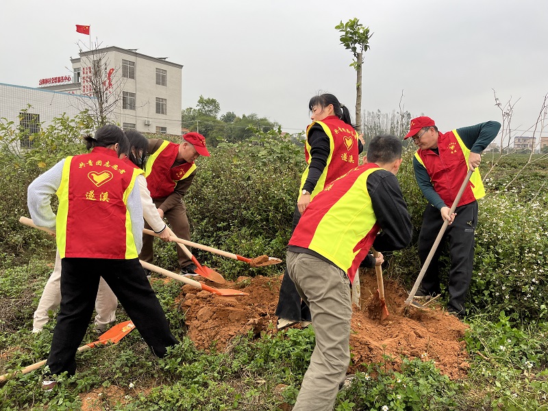 圖6：樂民中學老師在調神村植樹點植樹.jpg