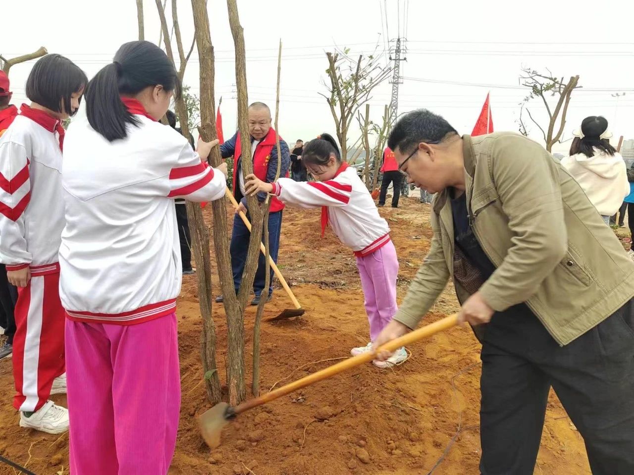 楊柑鎮人大：代表履“植”添新綠 綠美家園齊共建