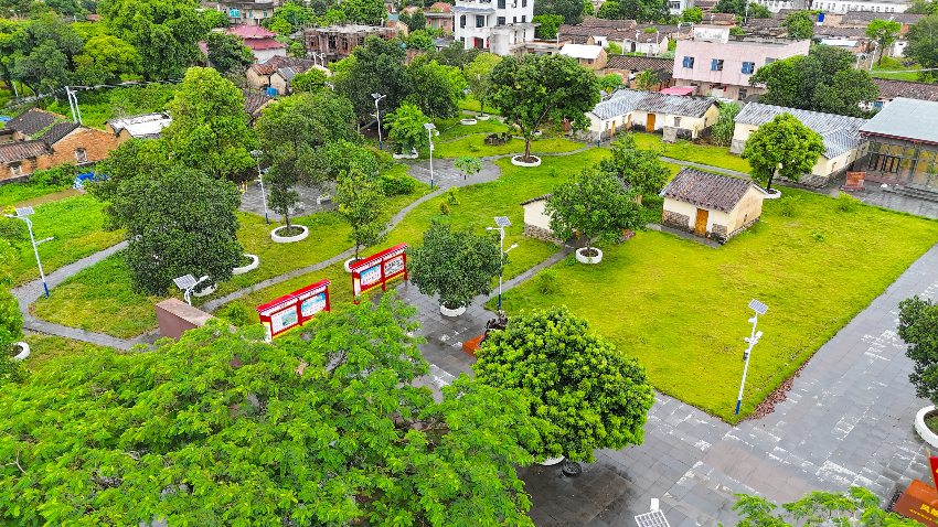 美麗庭院 黨建引領.JPG