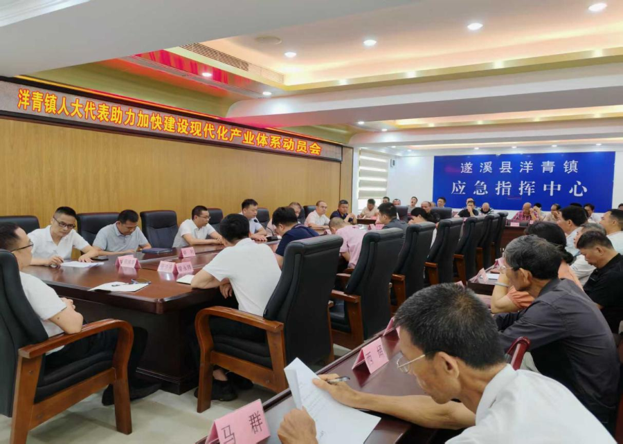 洋青鎮(zhèn)人大：召開人大代表助力加快建設(shè)現(xiàn)代化產(chǎn)業(yè)體系動員會